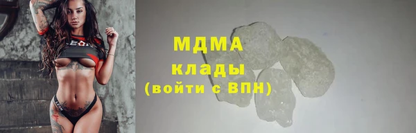 прущие грибы Абаза
