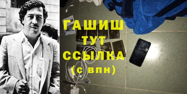 прущие грибы Абаза