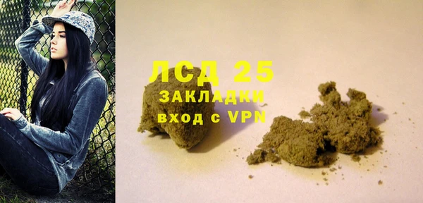 прущие грибы Абаза