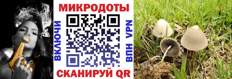 Галлюциногенные грибы Cubensis  Красноперекопск 